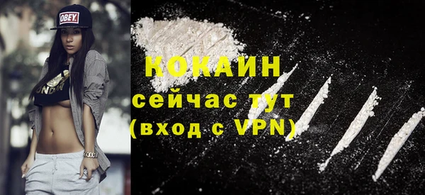 соль ск Алзамай