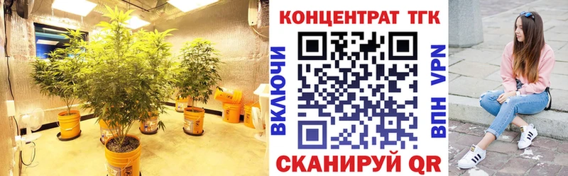 цена наркотик  MEGA ссылки  ТГК THC oil  Порхов 